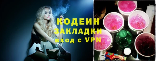 прущие грибы Верея