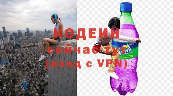 прущие грибы Верея