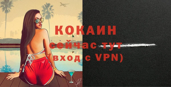 прущие грибы Верея