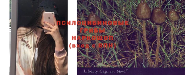 прущие грибы Верея