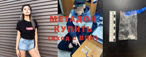 прущие грибы Верея