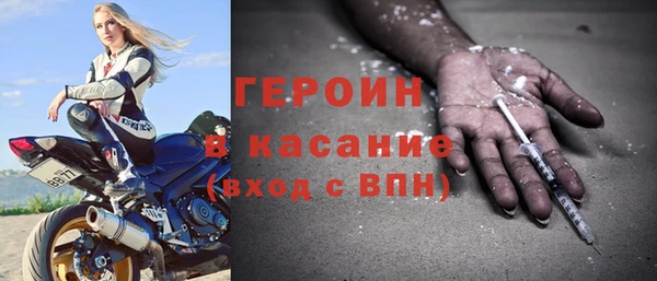 прущие грибы Верея