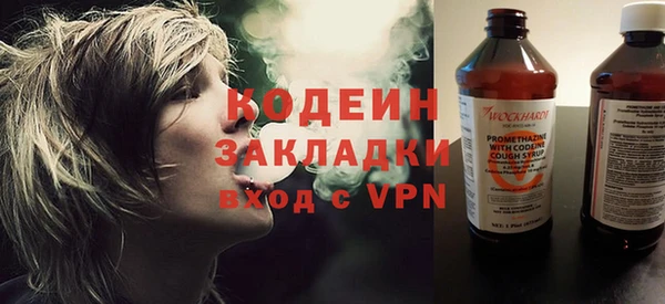 прущие грибы Верея