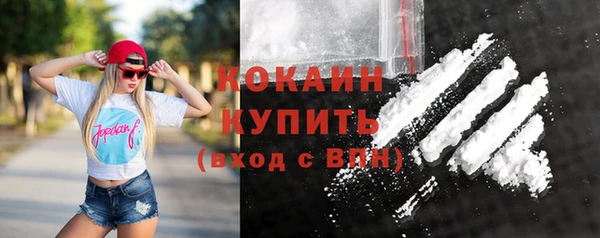 гидра Бородино