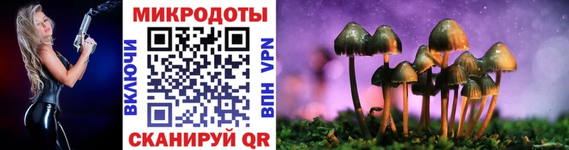 Псилоцибиновые грибы GOLDEN TEACHER  Старица 